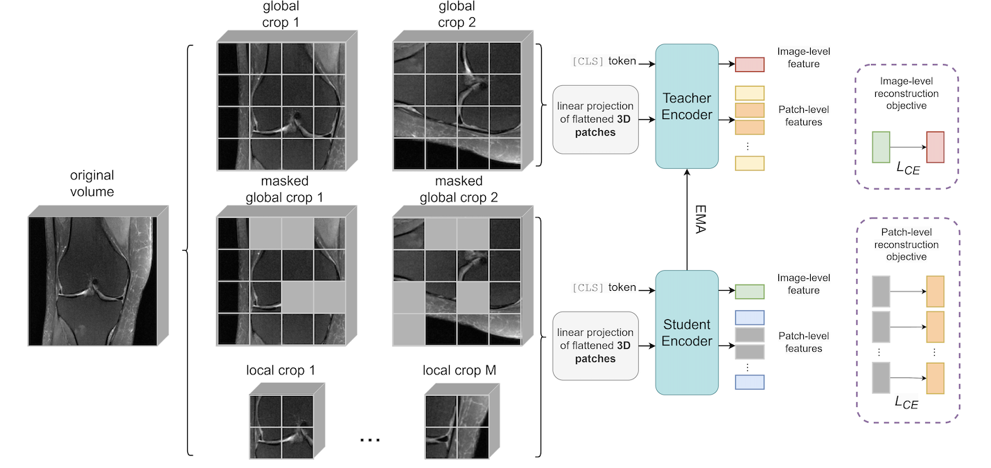 A generalizable 3D framework and model for self-supervised learning in medical imaging