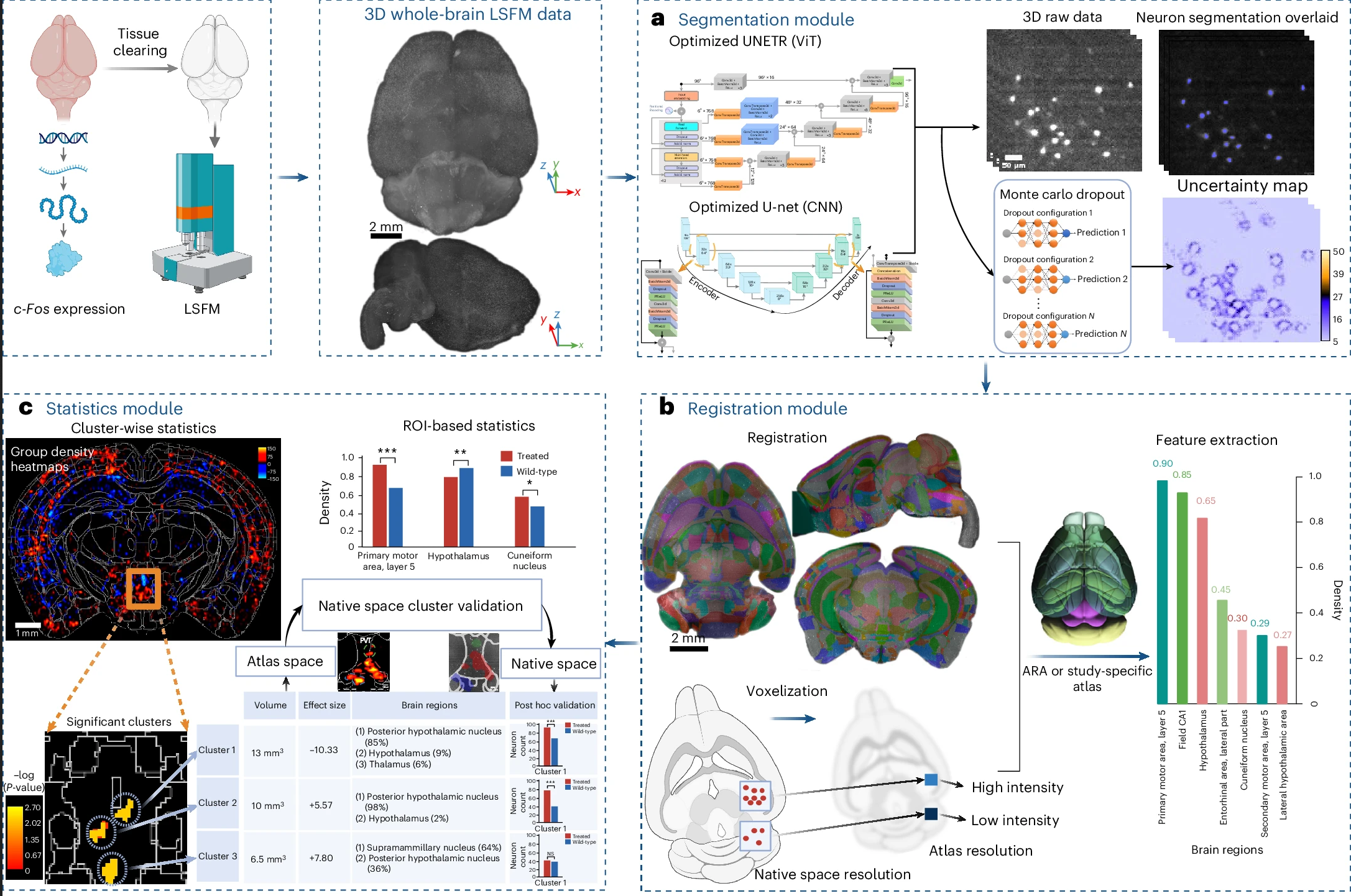 A deep learning pipeline for three-dimensional brain-wide mapping of local neuronal ensembles in teravoxel light-sheet microscopy