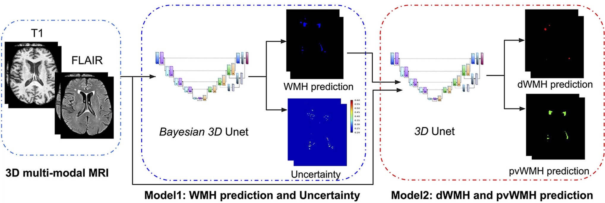 Deep Bayesian networks for uncertainty estimation and adversarial resistance of white matter hyperintensity segmentation