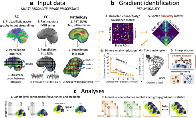 Tau follows principal axes of functional and structural brain organization in Alzheimer's disease